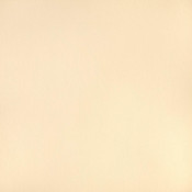 Capriccio Vellum 10200-0004 Paleta