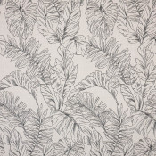 Calm Graphite 145854-0001 Paleta