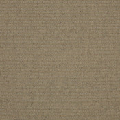 Toast Tweed 2389-0060 กลุ่มสี