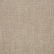 Cast Ash 40428-0000 Kết hợp màu sắc