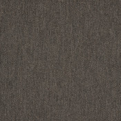 Pashmina Coal 40501-0014 Kết hợp màu sắc