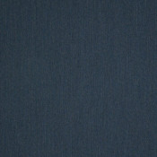 Switch Indigo 40555-0008 Kết hợp màu sắc