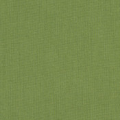Spectrum Cilantro 48022-0000 Palette de coloris