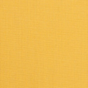 Spectrum Daffodil 48024-0000 Coordonner