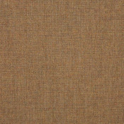 Cast Teak 48093-0000 Palette de coloris