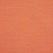 Cast Coral 48108-0000 Palette de coloris