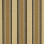 Colonnade Fossil 4855-0000 กลุ่มสี