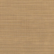 Destiny Sand 50078-0006 Colorway