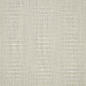 Augustine Oyster 5928-0045 Colorway