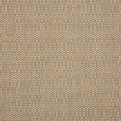 Augustine Ashe 5928-0054 Colorway