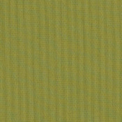 Canvas Lichen SJA 3970 137 กลุ่มสี