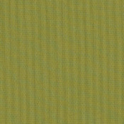 Canvas Lichen SJA 3970 137 配色	