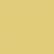 Canvas Canary SJA 3984 137 配色	