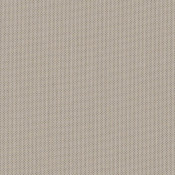 Canvas Stone SJA 3988 137 配色	