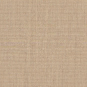 Flax Plus SUNT2 P017 152 Renk Çeşitleri