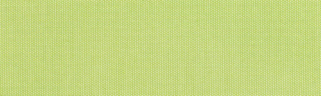Canvas Parrot 5405-0000 Detailed View
