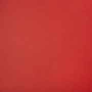 Capriccio Logo Red 10200-0016