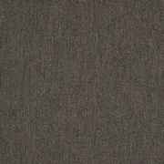 Pashmina Coal 40501-0014