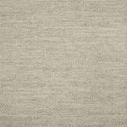 Action Ash 44285-0001