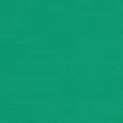 Erin Green 4600-0000