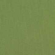 Spectrum Cilantro with RAIN finish 48022-0000 77