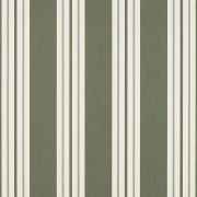 Fern Classic 4955-0000