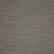 Collect Charcoal 50203-0003