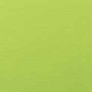 Canvas Macaw 5429-0000