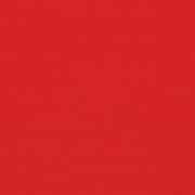 Canvas Logo Red 5477-0000