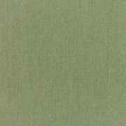 Canvas Fern with RAIN finish 5487-0000 77