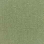 Canvas Fern 5487-0000