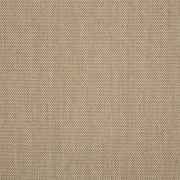 Augustine Ashe 5928-0054