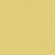 Canvas Canary SJA 3984 137