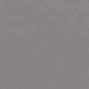 Cadet Grey Plus SUNT2 5530 152