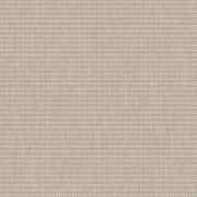 Velum Beechwood VLM 2026 300