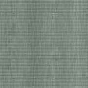 Velum Lichen VLM 2031 300