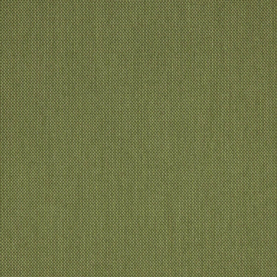Flagship Cilantro 40014-0153 大图	