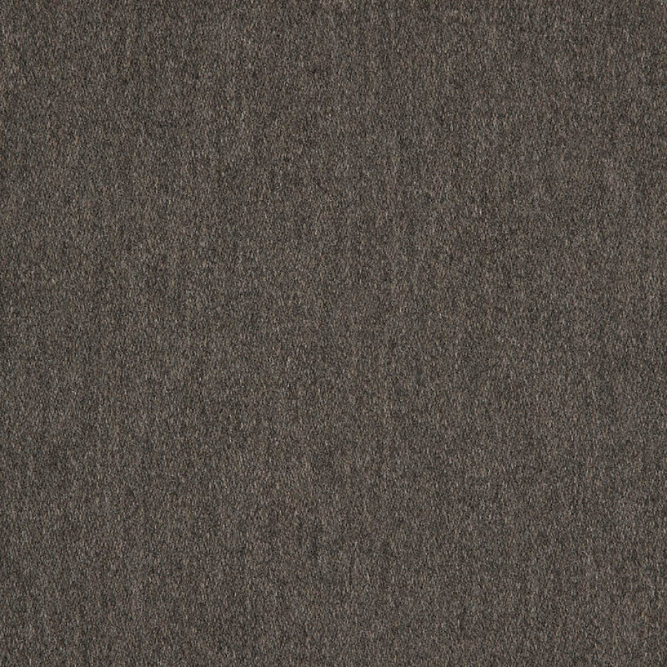 Pashmina Coal 40501-0014 Larger View