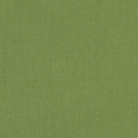 Spectrum Cilantro with RAIN finish 48022-0000 77
