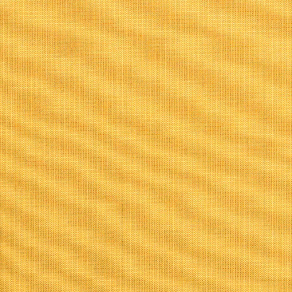 Spectrum Daffodil 48024-0000 大图	