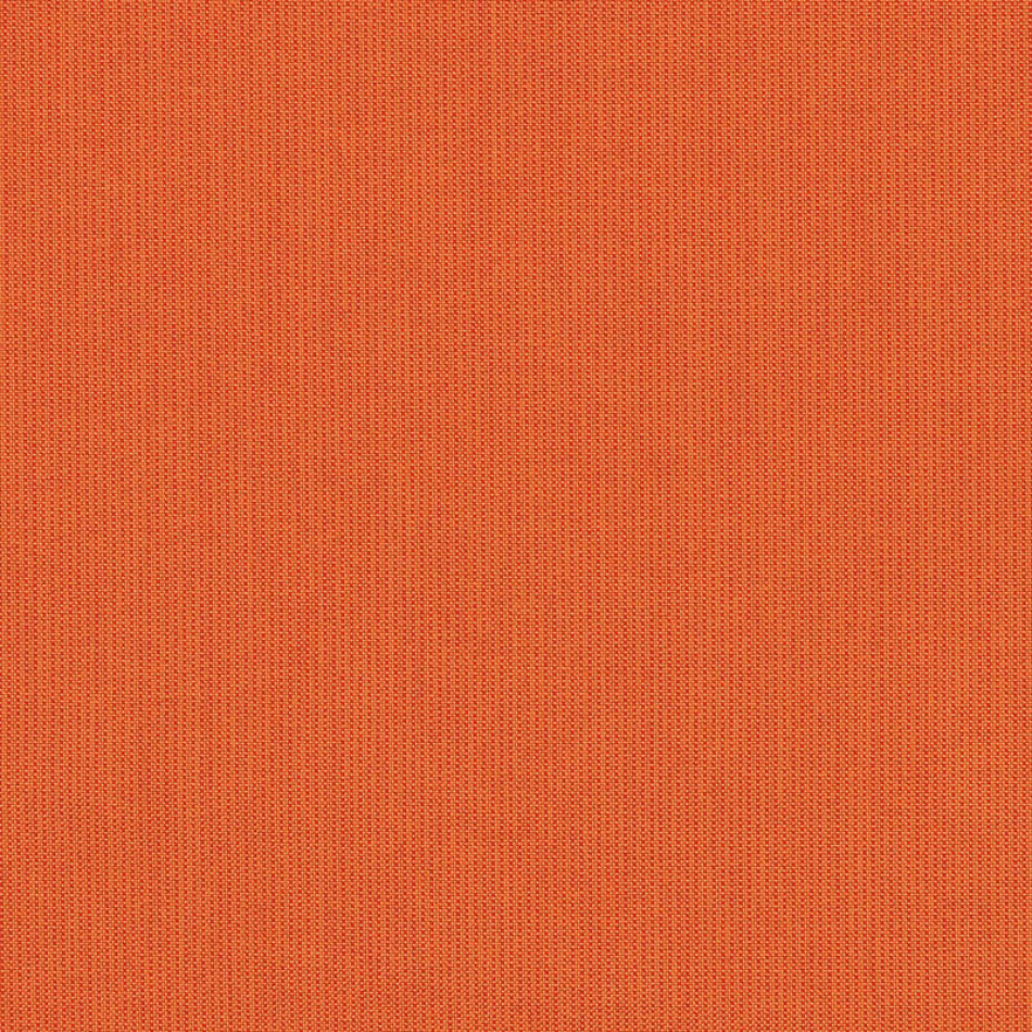 Spectrum Cayenne 48026-0000 大图	