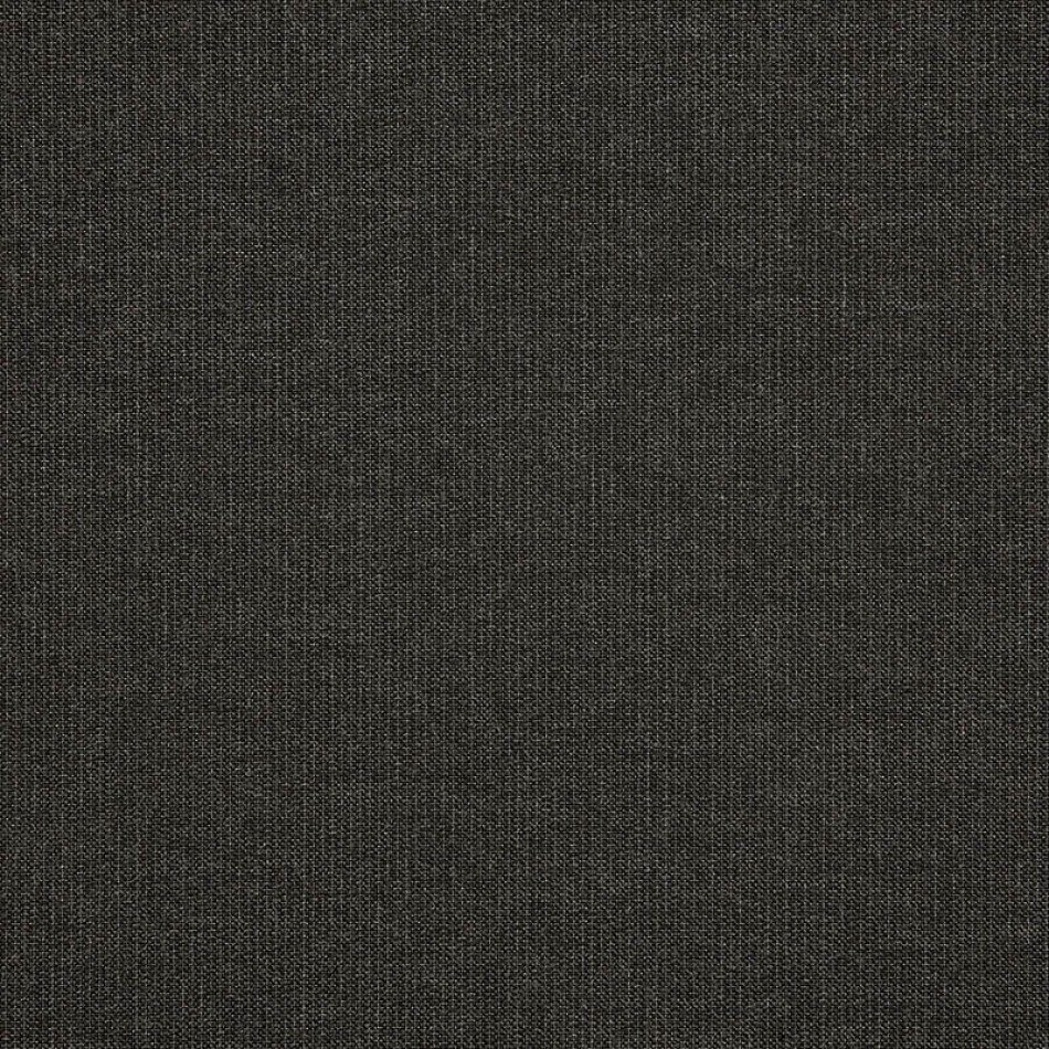 Spectrum Carbon 48085-0000 大图	