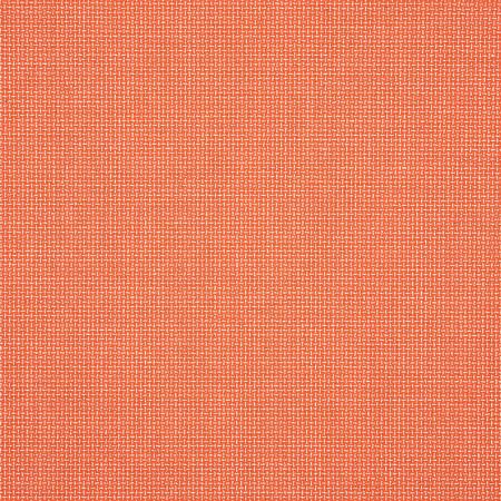 Bliss Guava 48135-0006