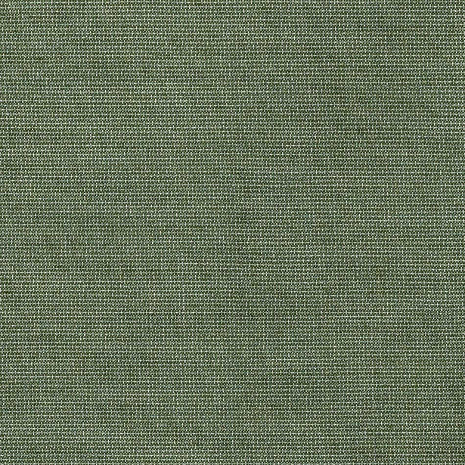 Bliss Aloe 48135-0017 大图	
