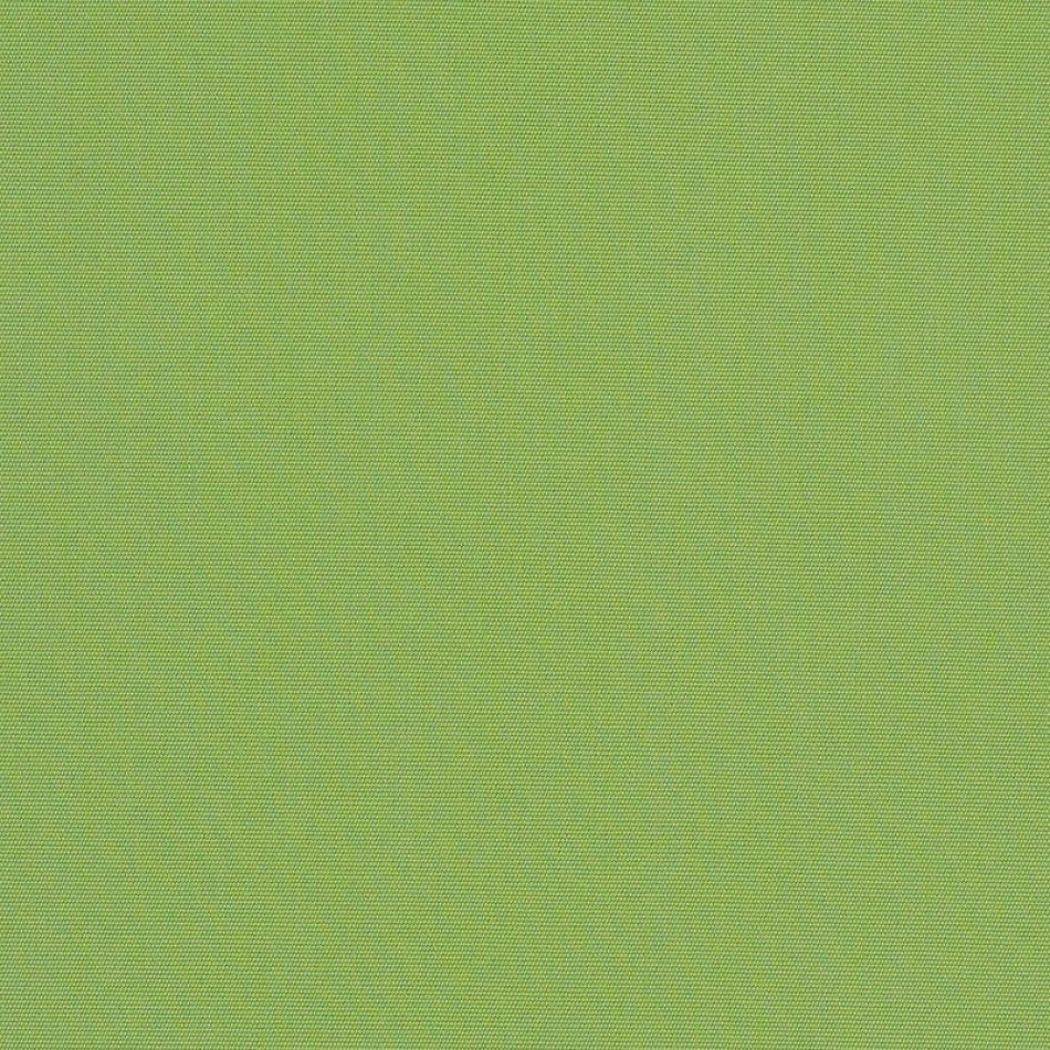 Canvas Ginkgo 54011-0000 大图	