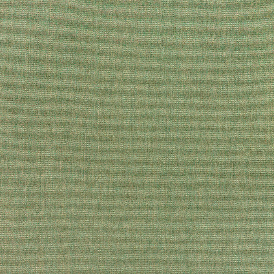 Canvas Fern 5487-0000 大图	