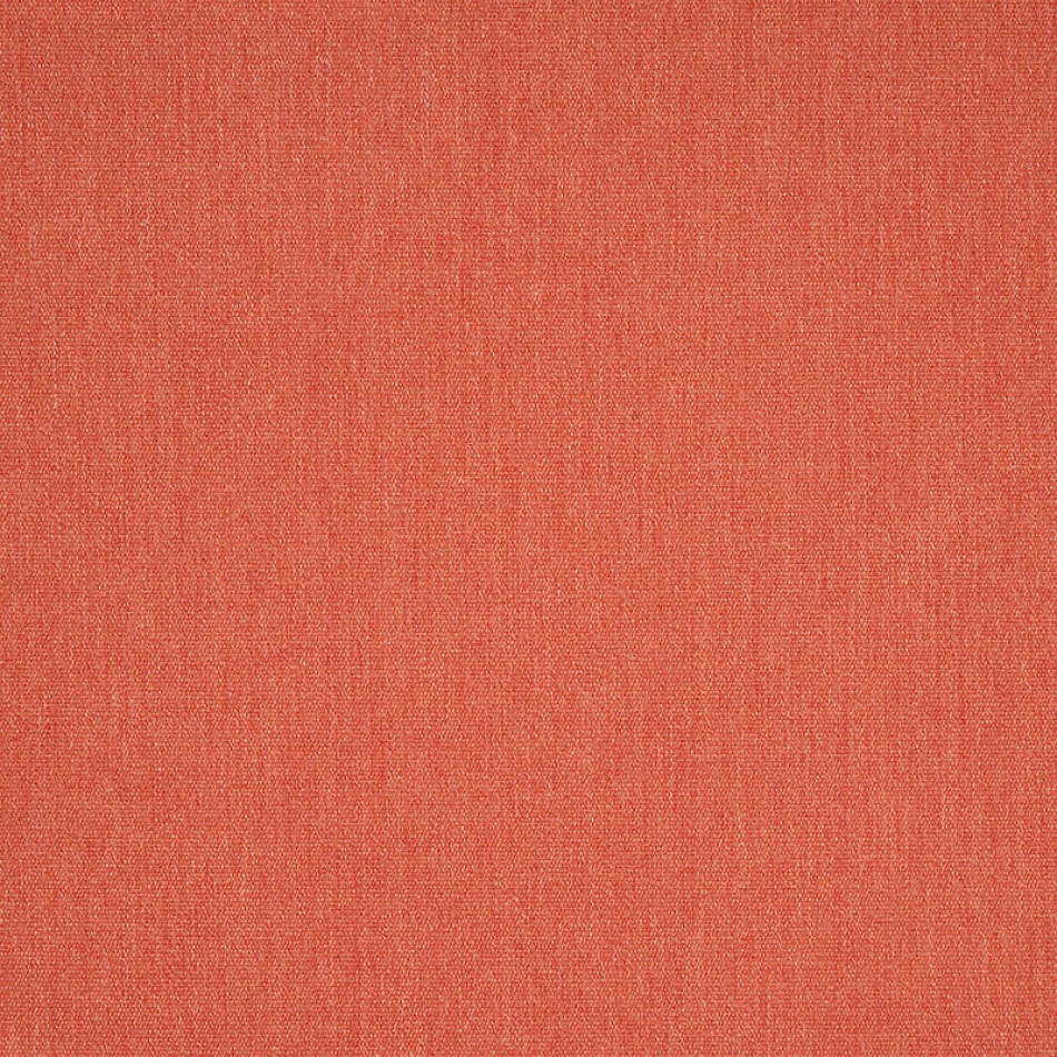 Canvas Persimmon 57013-0000 大图	