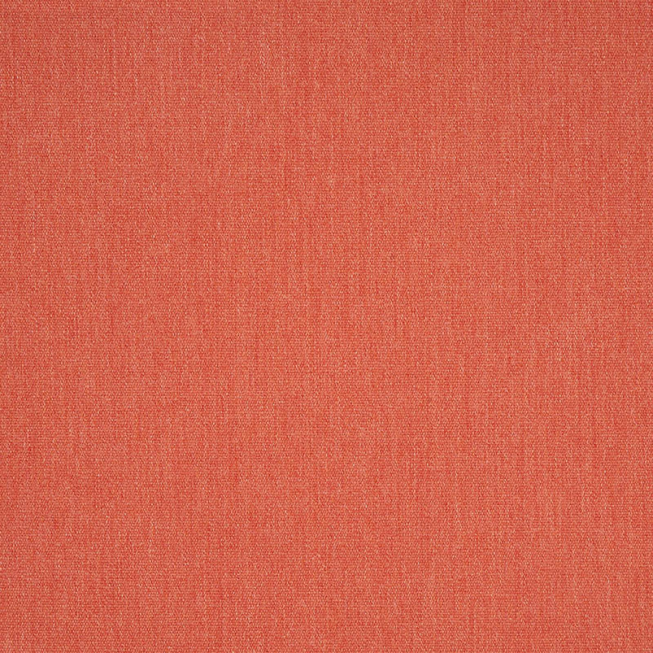 Canvas Persimmon 57013-0000 大图	