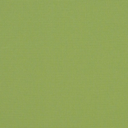 Ginkgo 6085-0000
