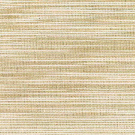Dupione Sand with RAIN finish 8011-0000 77